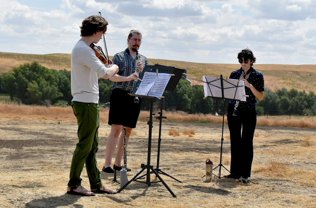 A chamber music trio performing in a field.