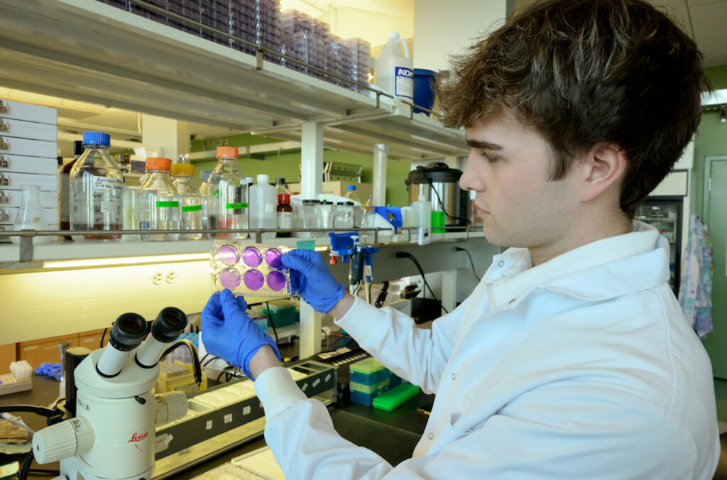 Brayden Olsen examines a tray of samples as he holds them next to a microscope.
