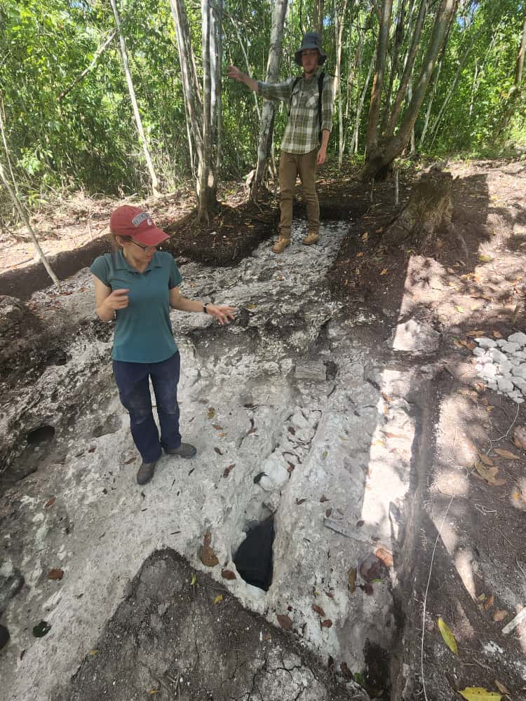 Rachel Horowitz standing in the site of an excavated home in a forest.