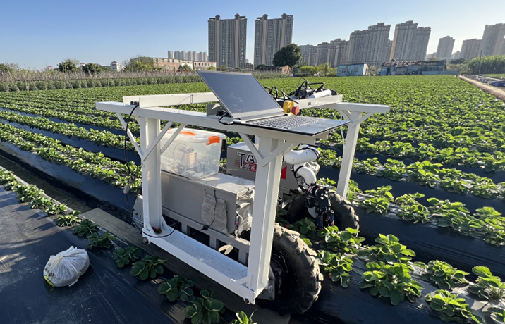 研究者が隠れたイチゴを収穫するロボットを開発（Researchers design robot that can pick hidden strawberries）