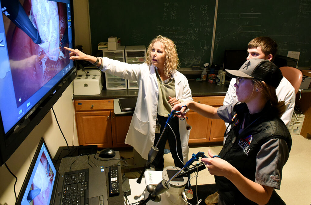 Boel Fransson points to a large monitor as a veterinary student practices a laparoscopic surgery on a virtual reality simulator.