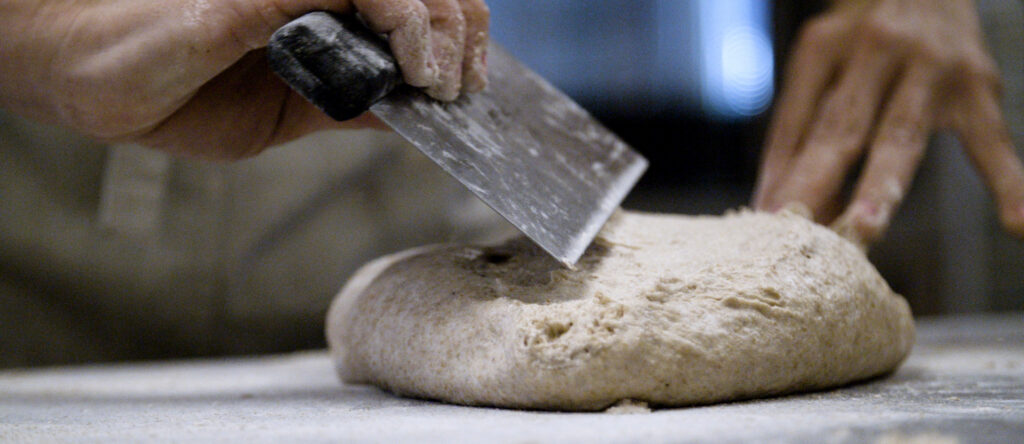 Closeup of a pair of hands using a bench knife on a lump of bread dough.