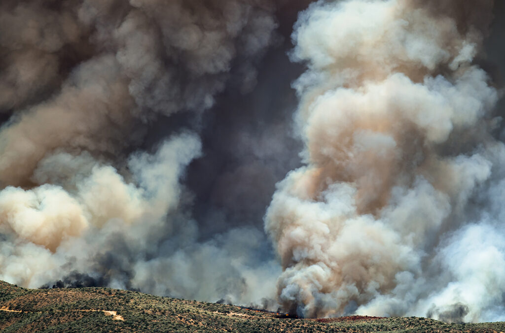 Dense white smoke rising from a raging wildfire.