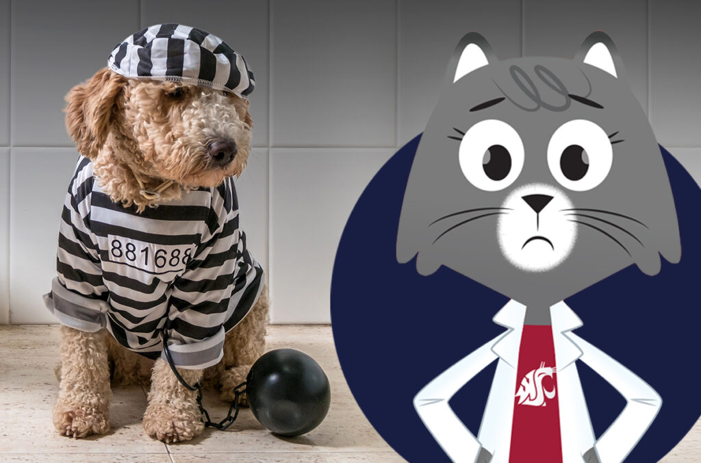 A composite featuring a closeup of a dog in a prison outfit and a cartoon illustration of Dr. Universe.