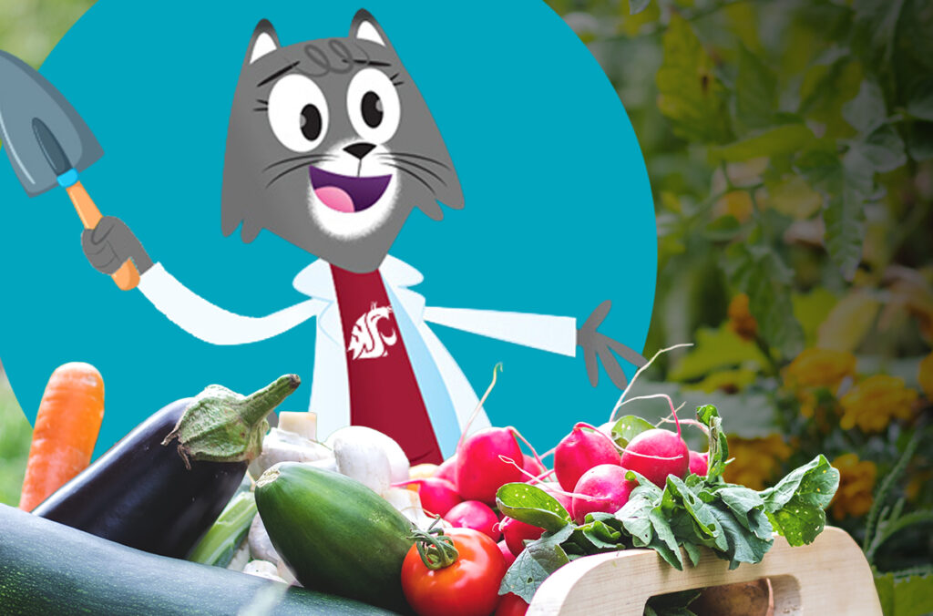 A composite featuring a cartoon illustration of Dr. Universe holding a garden trowel and a collection of vegetables.