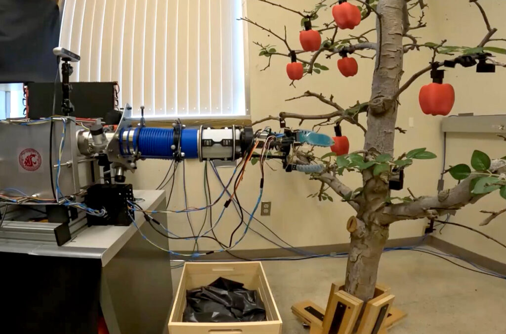 A robotic arm picks fake apples from a simulated tree in an office.