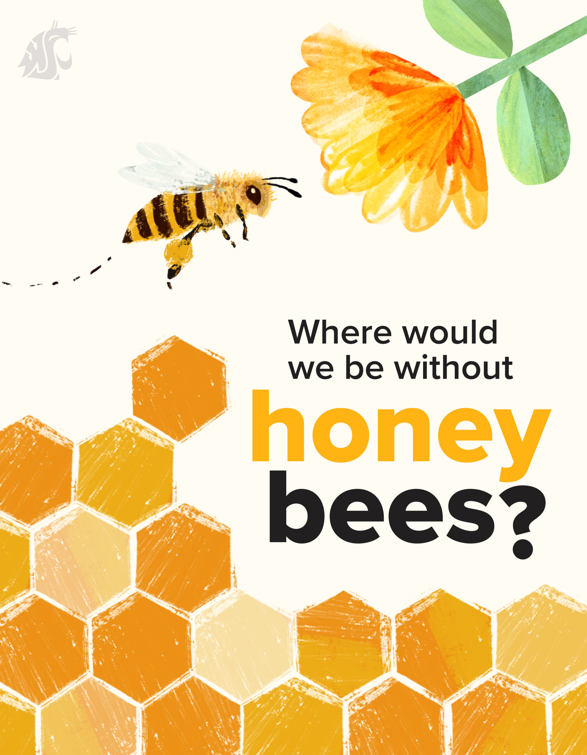 Bees on the brink | WSU Insider | Washington State University