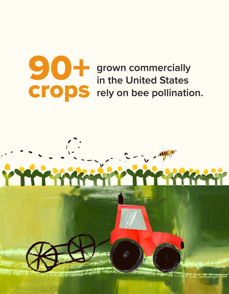 A bee pollinating a field of flowers while a tractor works a field, with the text "90 plus crops grown commercially in the United States rely on bee pollination."
