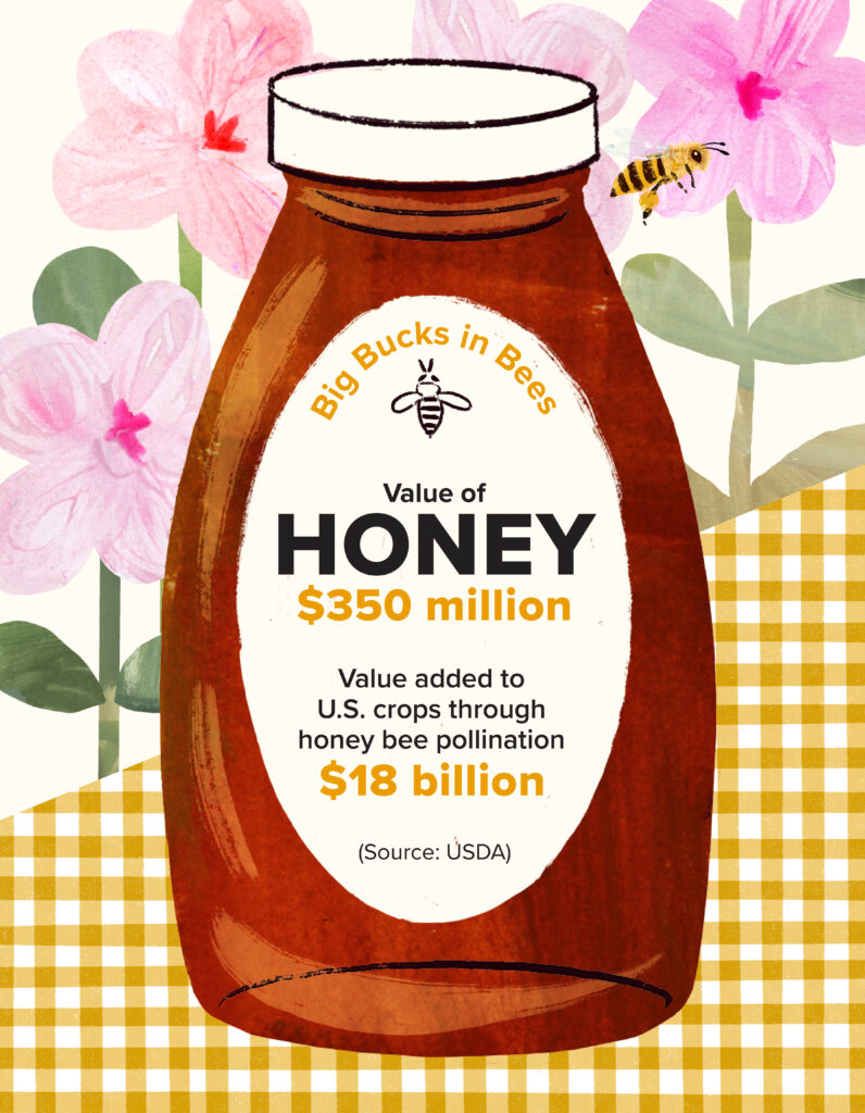 A honey bottle labeled "Big Bucks in Bees" with USDA statistics: value of honey $350 million and value added to US crops through honey bee pollination $18 billion.