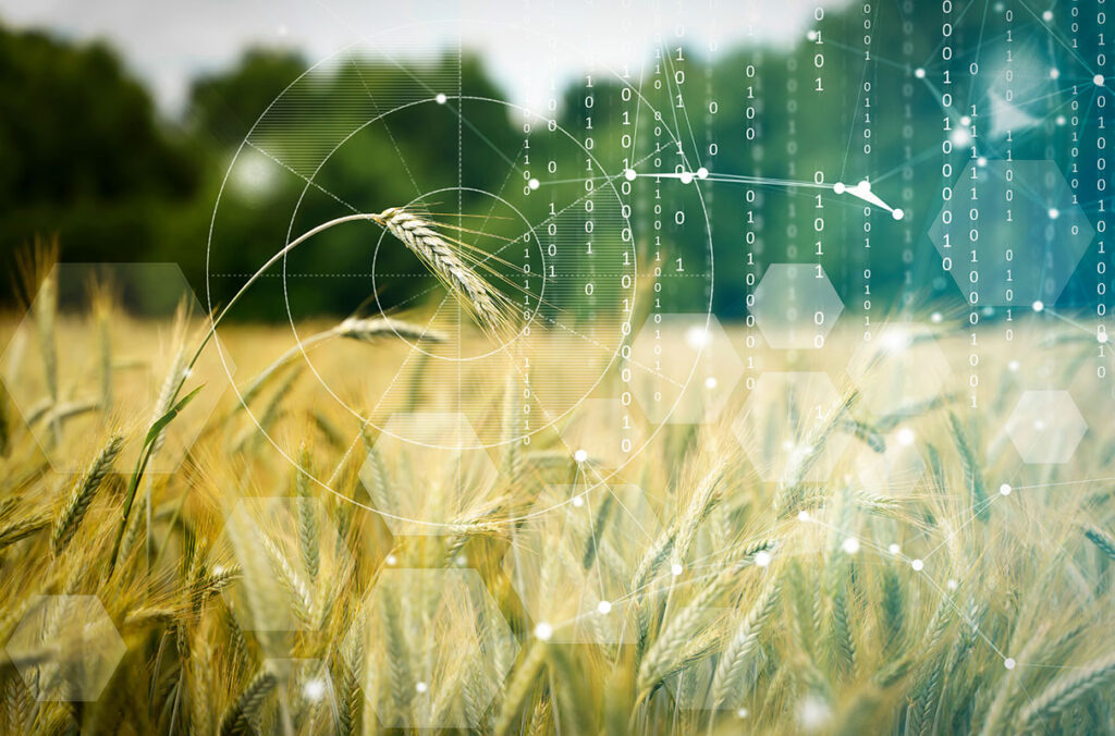 Ones and zeroes superimposed on a closeup of a wheat field.