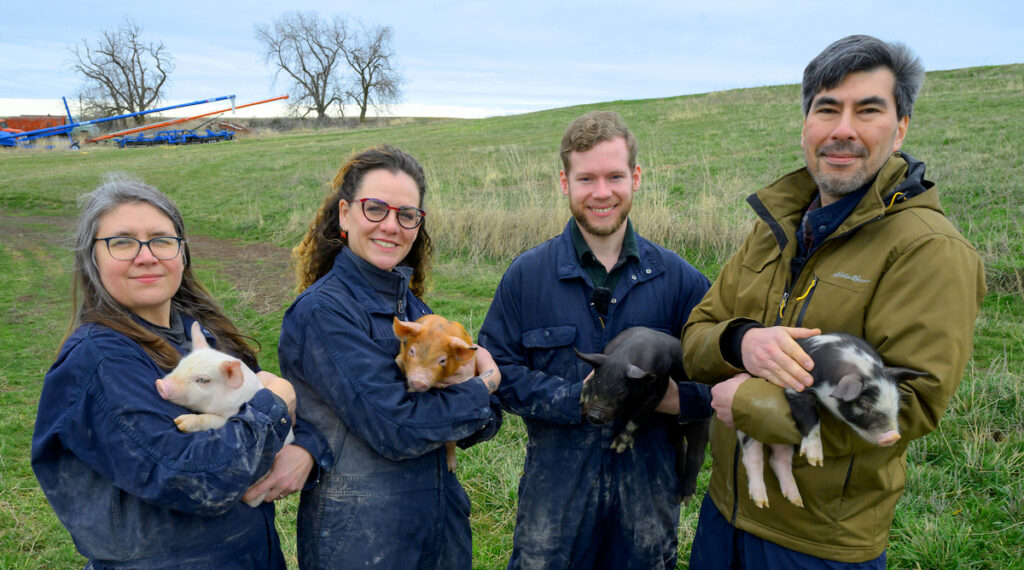 Four WSU researchers holding piglets.