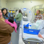 A veterinary technician holds a black cat wrapped in towel near WSU’s new CT machine.