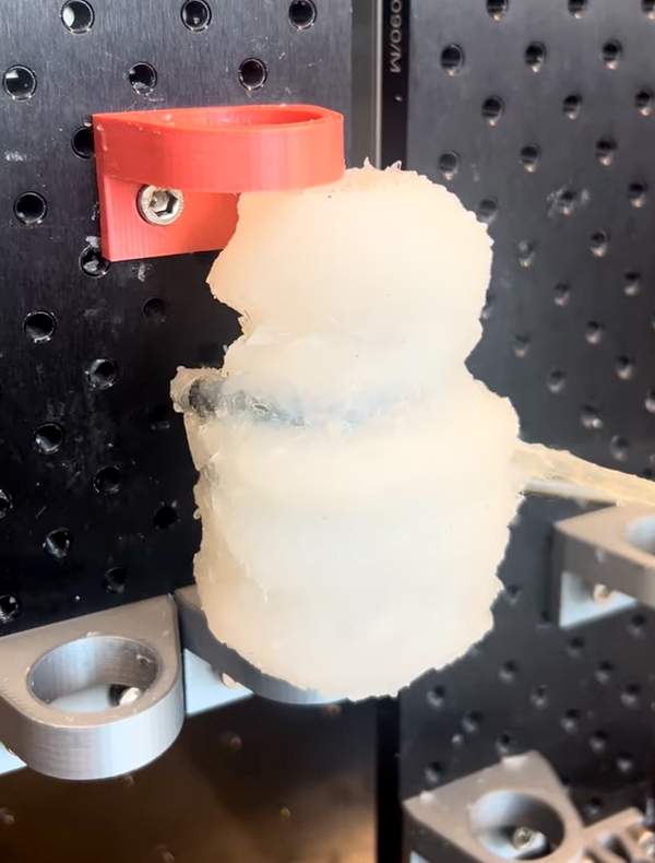 A 3D-printed heart model.