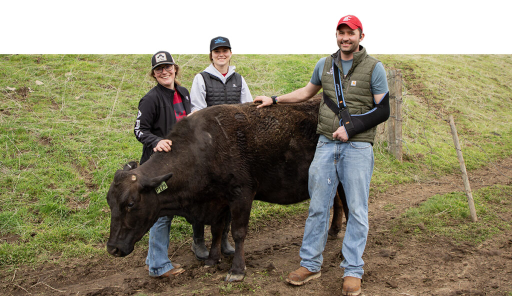 Laurin Ogg, Naomi Turner, and Ryan Goodman standing next to a cow.