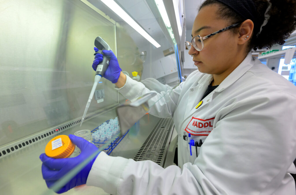 A gloved laboratory technician uses a pipette to transfer liquid into a sample container inside a biosafety cabinet.