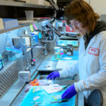 A laboratory technician prepares and organizes sample tubes and materials at a lab workstation.