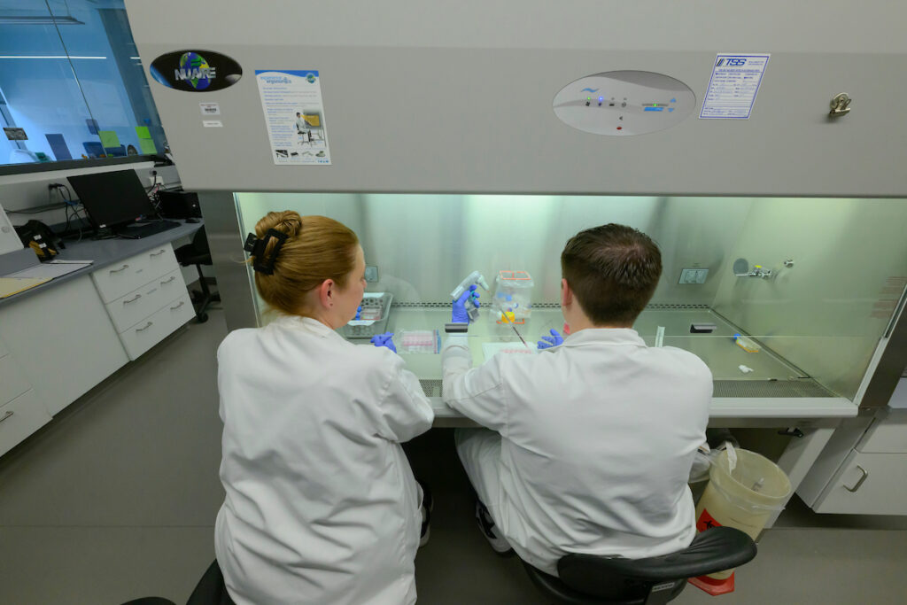 Two researchers work side by side processing samples in a laboratory.