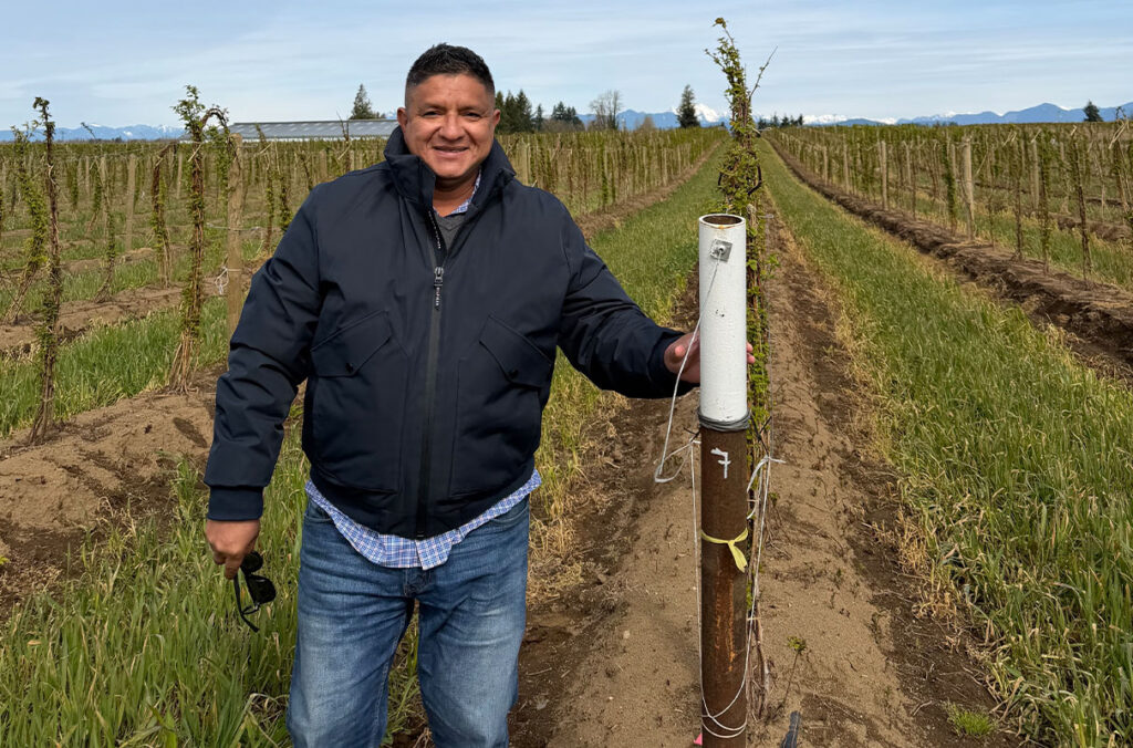 Germán Sandoya-Miranda can be seen on a red raspberry farm in Washington.