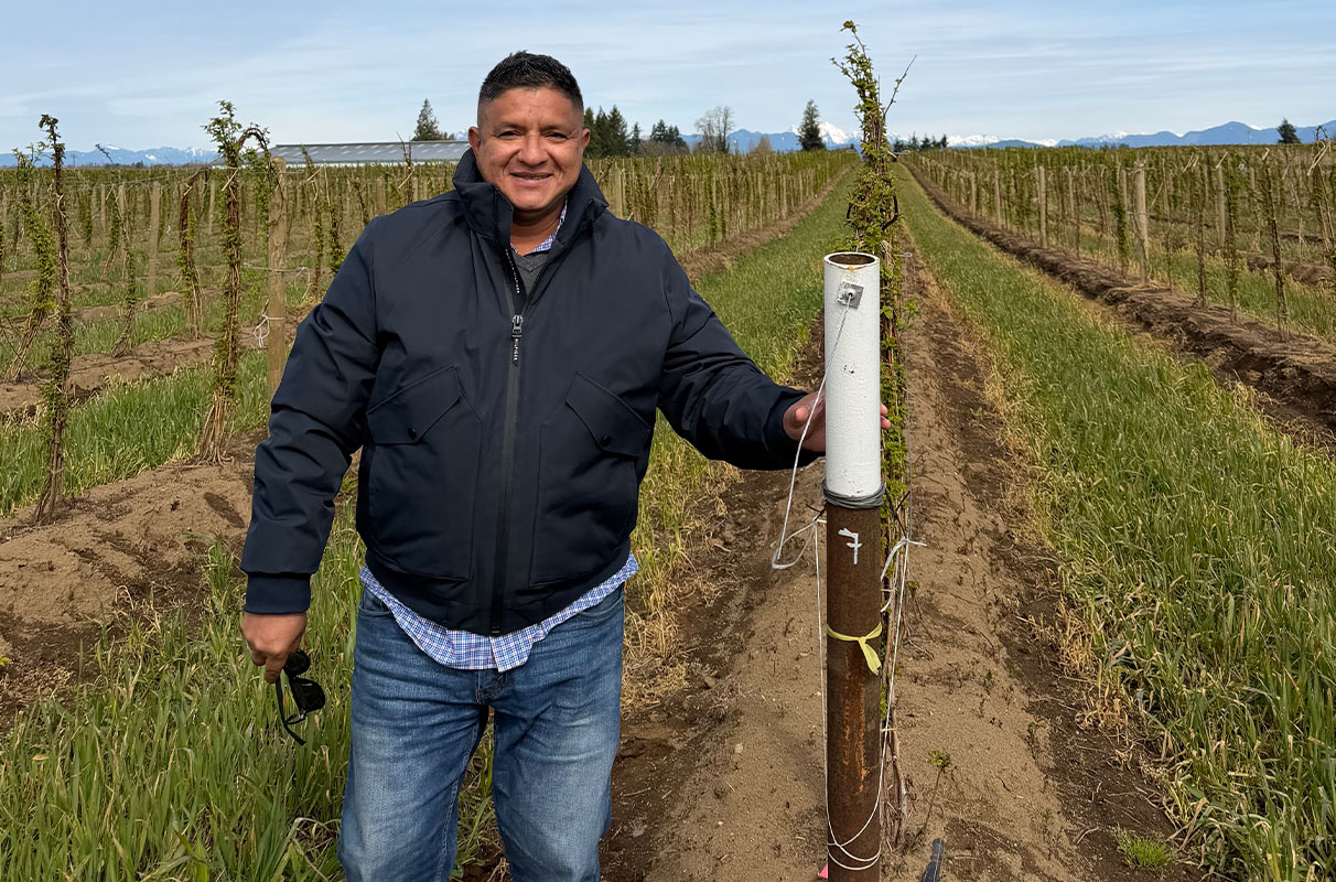 New WSU raspberry breeder to continue career goal of helping farmers ...