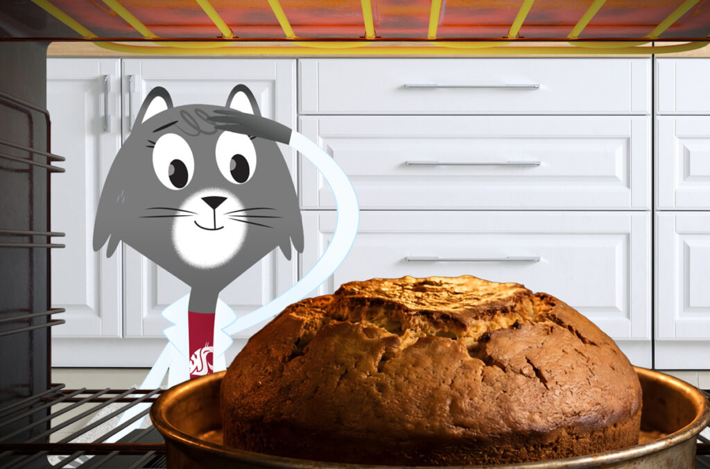 An illustration featuring Dr. Universe looking at a loaf of bread in an oven.