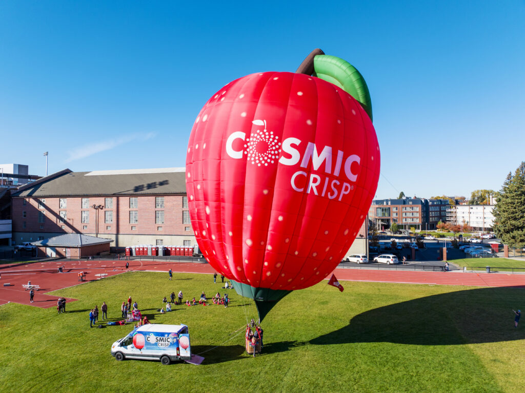 A hot-air balloon shaped like a crimson apple with the word Cosmic Crisp on it.