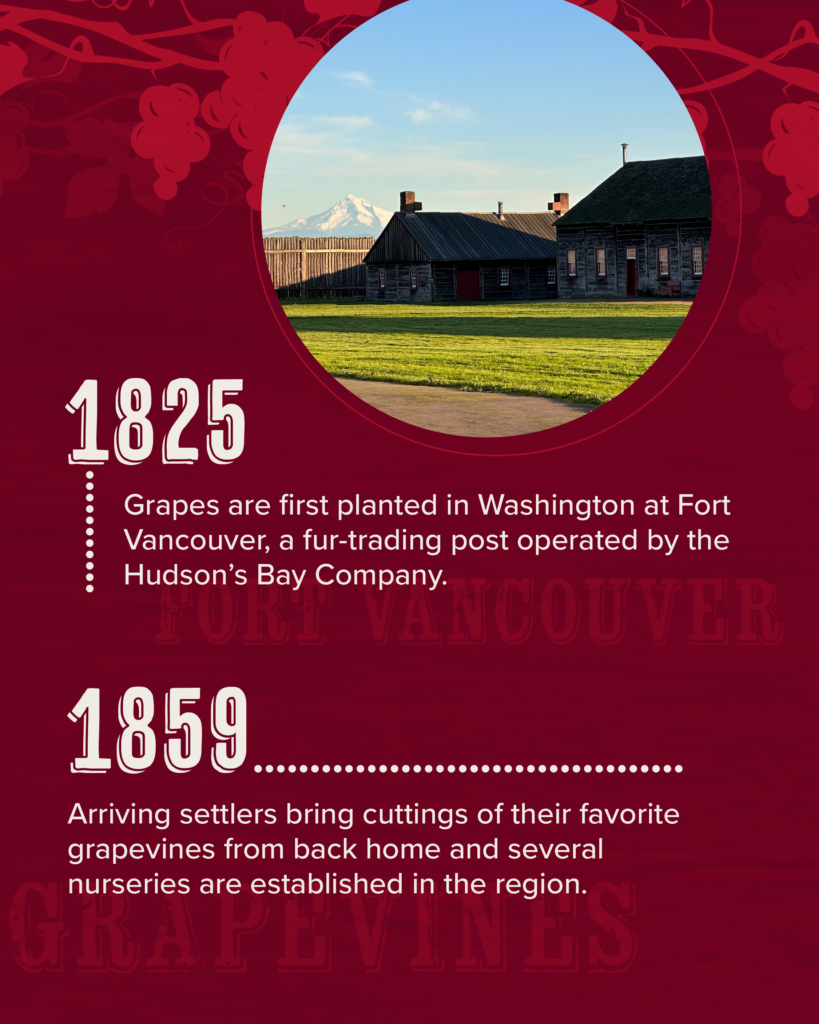 Building with a mountain in the background and text, full text under the heading: Infographic full text.