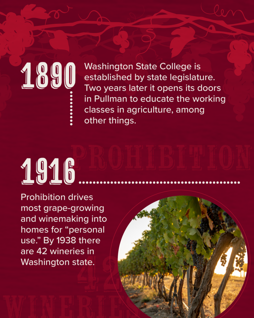 Grape vines and text, full text under the heading: Infographic full text.
