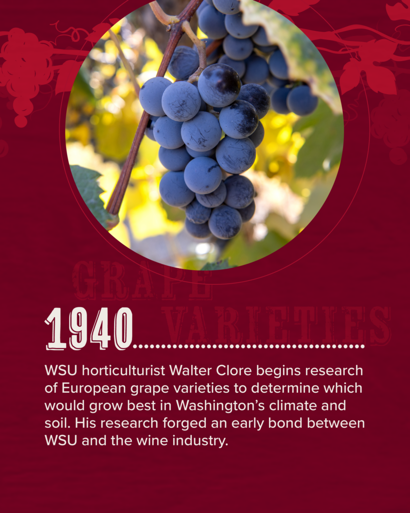Grapes and text, full text under the heading: Infographic full text.