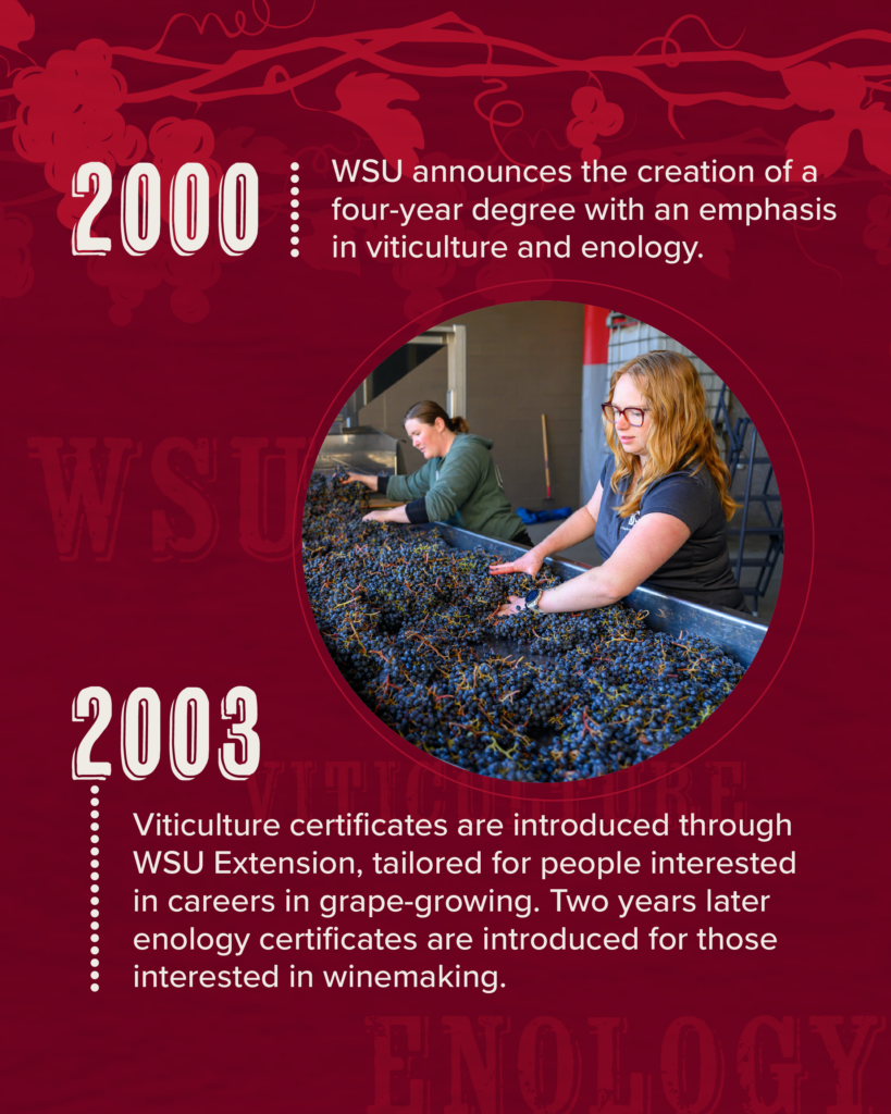 People checking grapes, full text under the heading: Infographic full text.