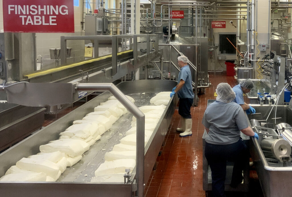 An employee stands at a finishing table filled with cheese as two others stand at a large basin.