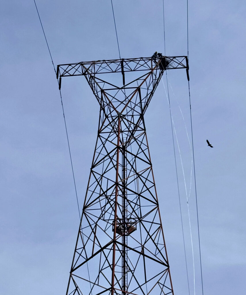 Someone at the top of a large power line structure near the nest of a bald eagle.