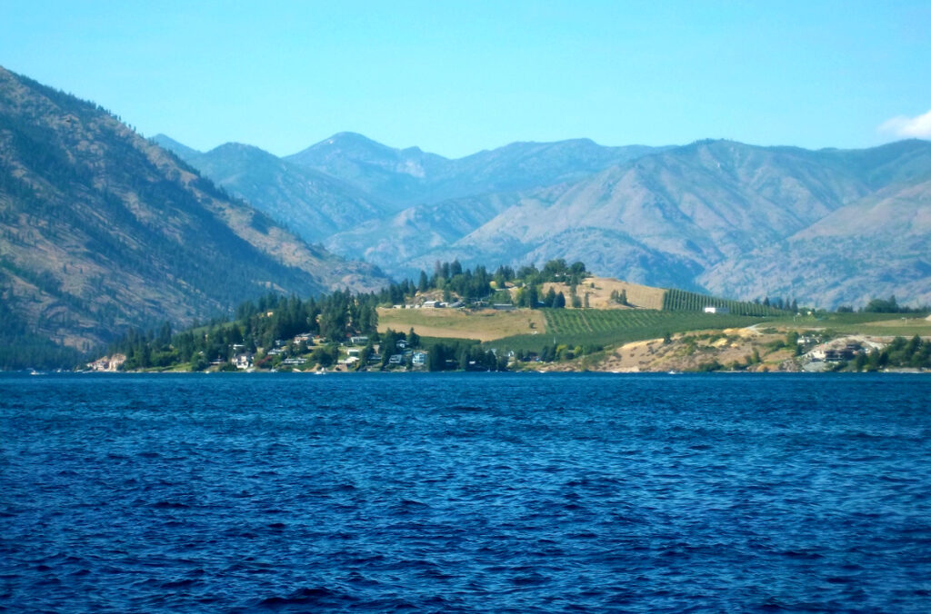 A view of the Columbia River Valley with a vineyard and hills in the background.