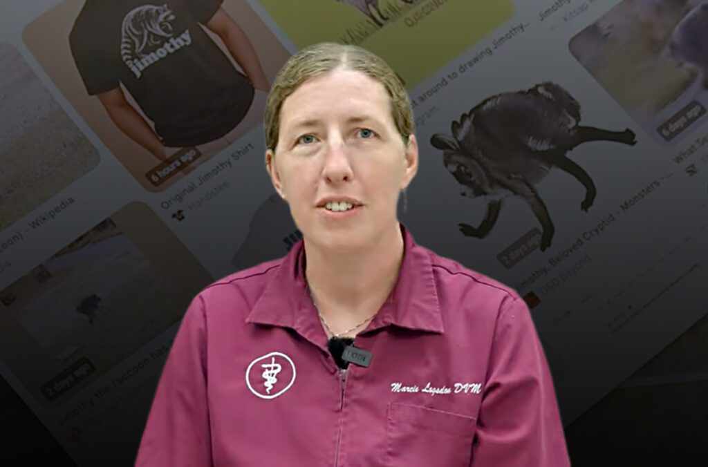 Closeup of WSU wildlife veterinarian Marcie Logsdon against a background featuring Jimothy-themed products for sale.
