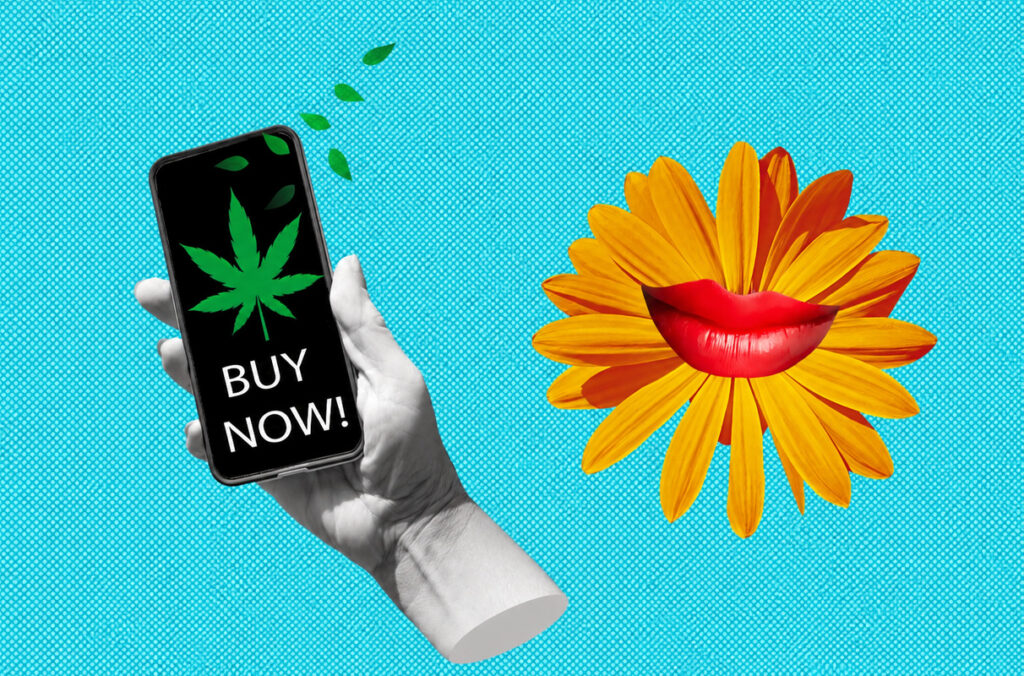 A hand holding a smartphone with a marijuana leaf on it can be seen next to a yellow flower with red lips painted on it.