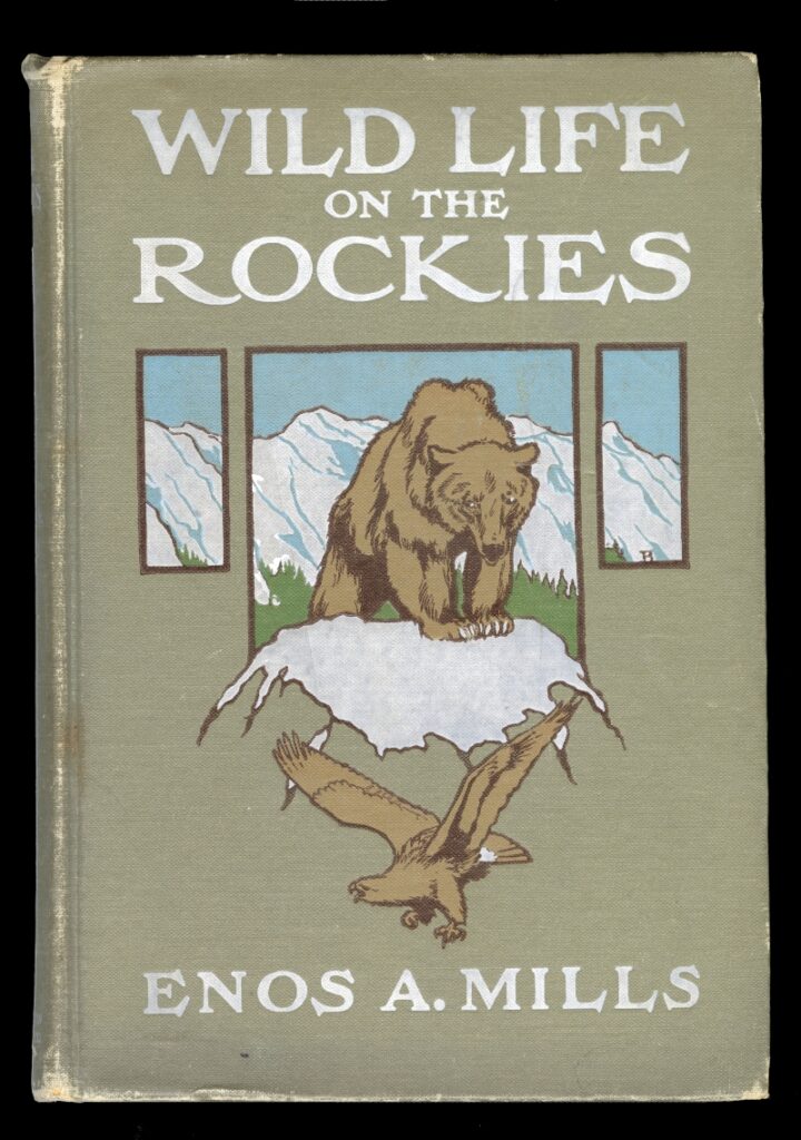 Closeup of a cover of a book published in 1909. 