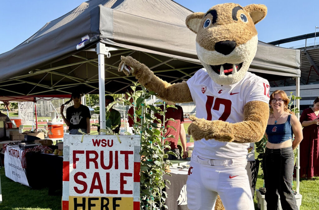 WSU Cougar mascot Butch stands next to a sign that says fruit sale at a harvest market.