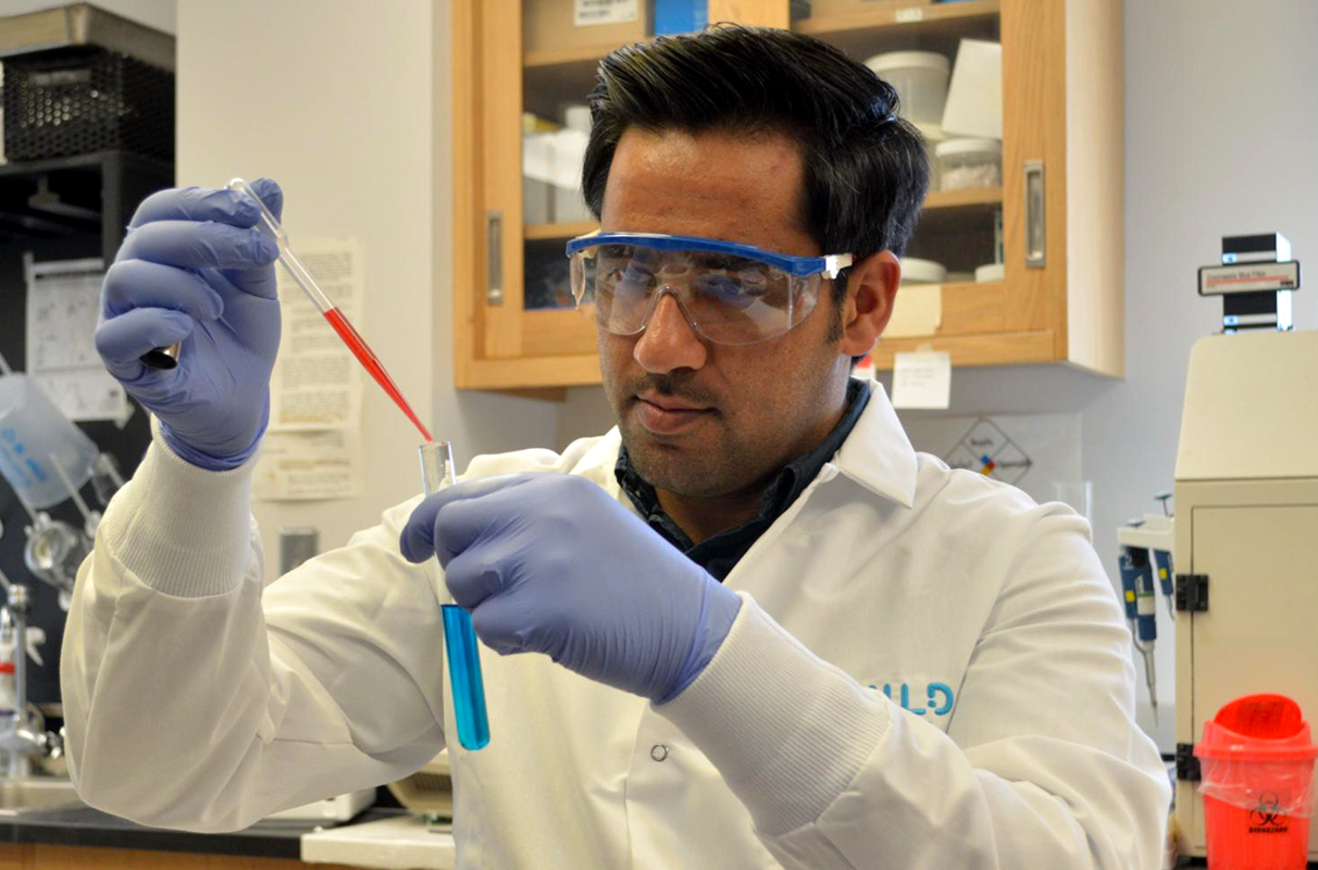Desire to improve food safety leads Afghan student to WSU, national fellowship - Vimarsana News