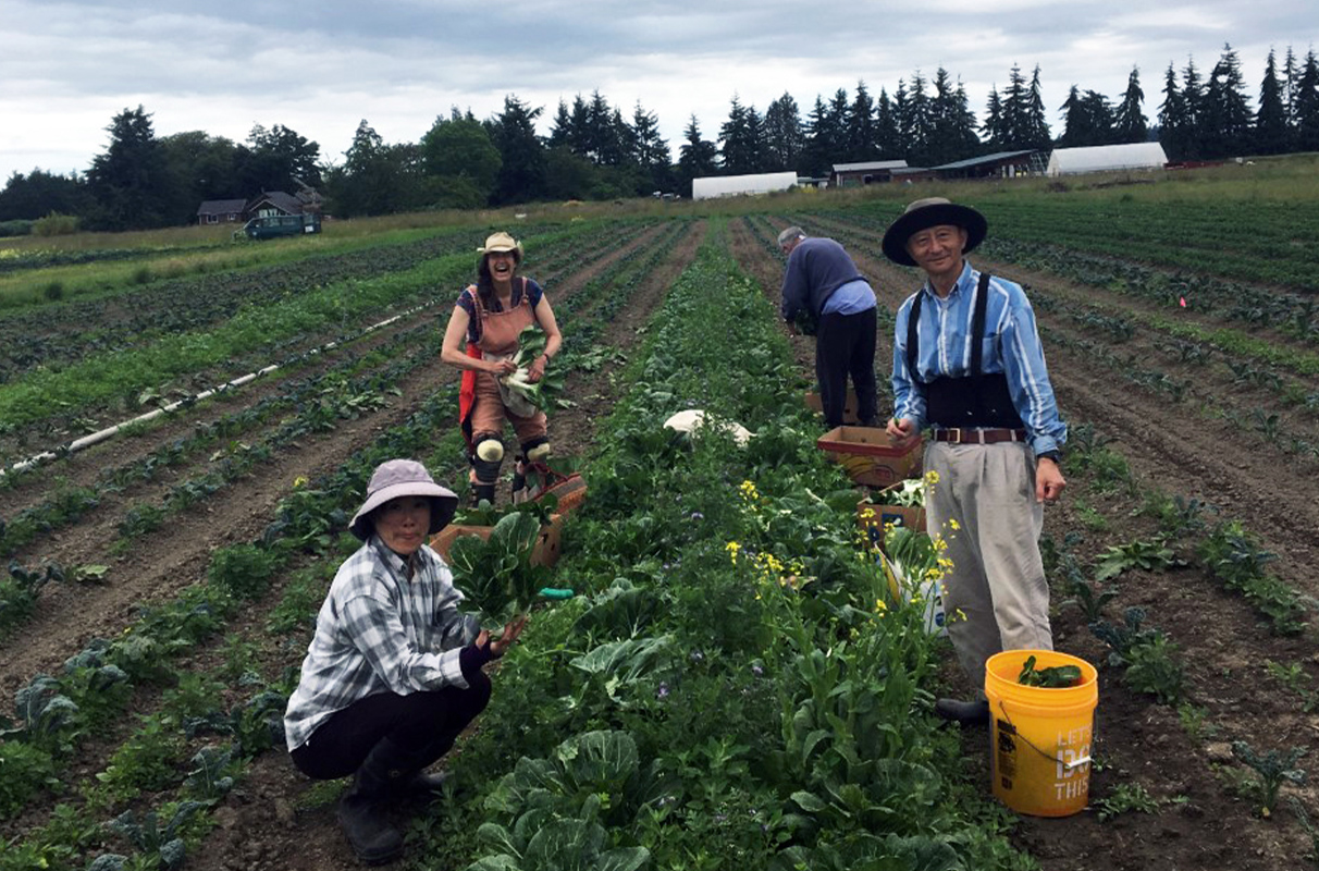 WSU Extension helps prevent Washington food waste through education, outreach - Vimarsana News