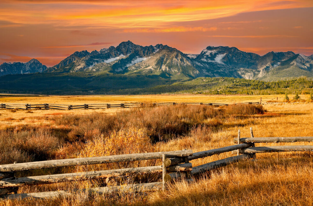 Tri-state team releases calendar guide for more productive, sustainable pastures - Vimarsana News