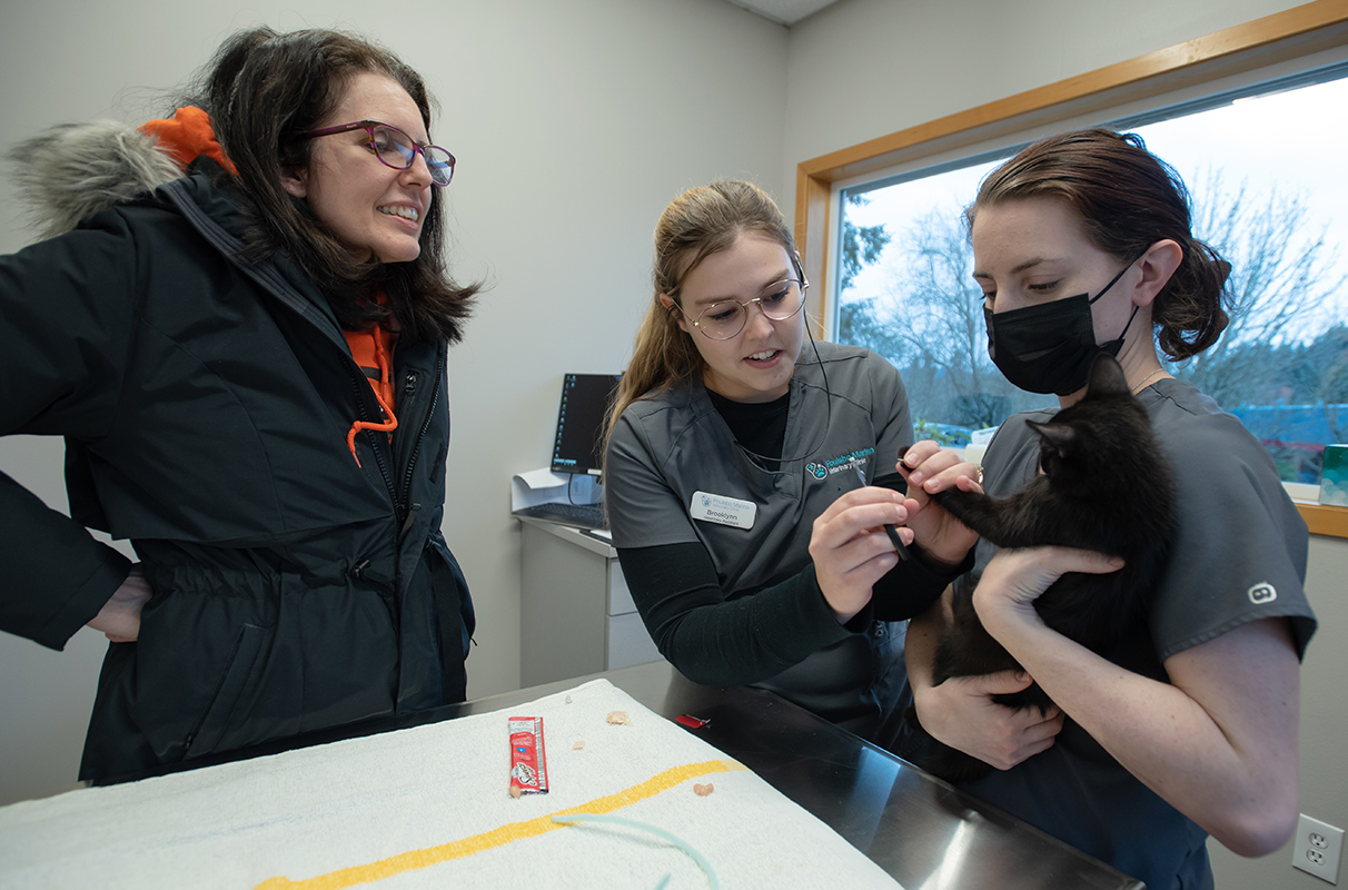 WSU launches first-of-its-kind Junior Veterinary Scribe Certificate - Vimarsana News