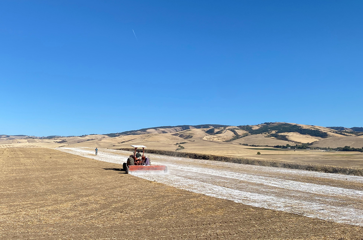 WSU Extension hosts soil acidity management workshop series - Vimarsana News