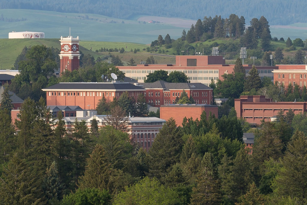 Washington State University