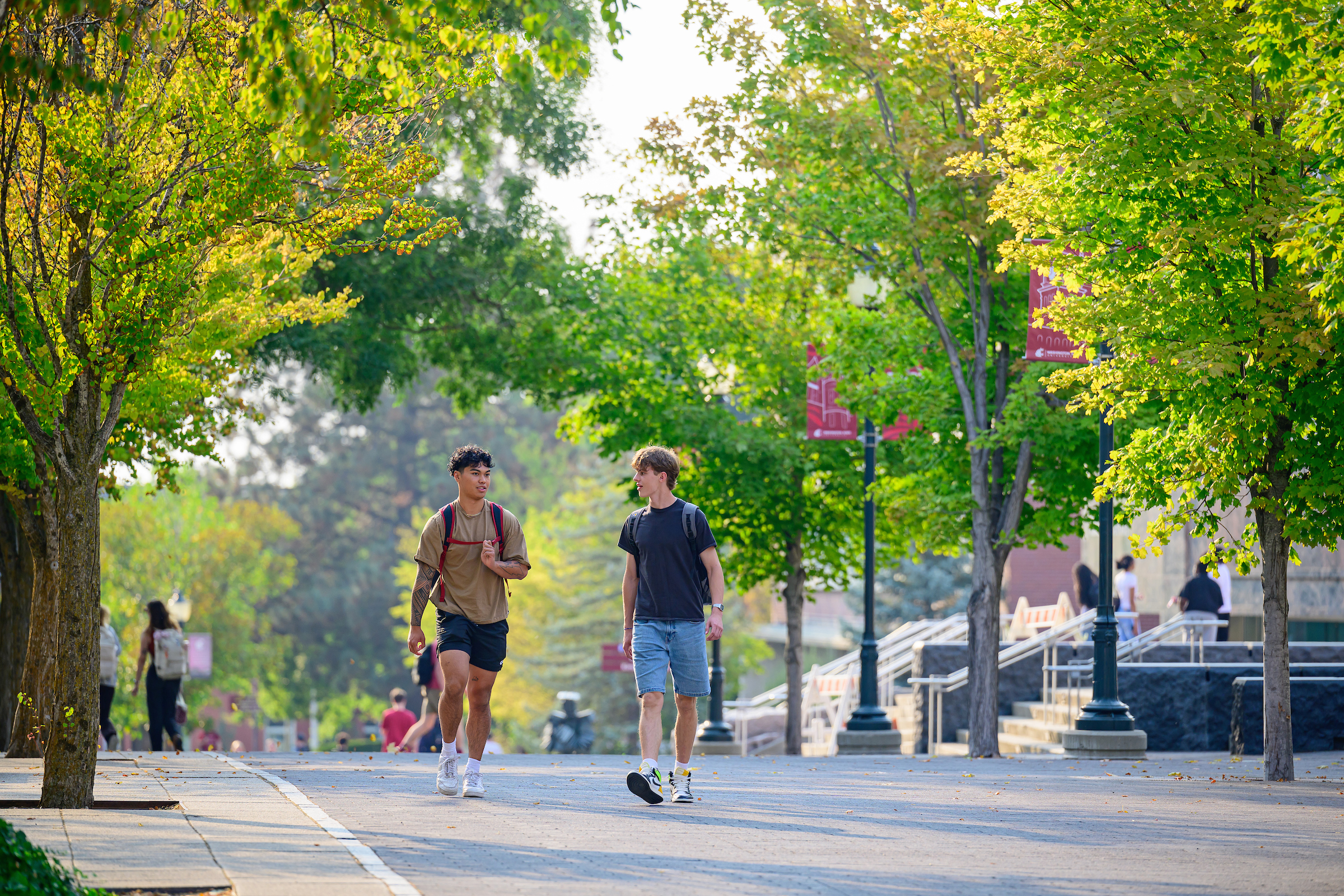 Students walking on Terrell Mall at Washington State University