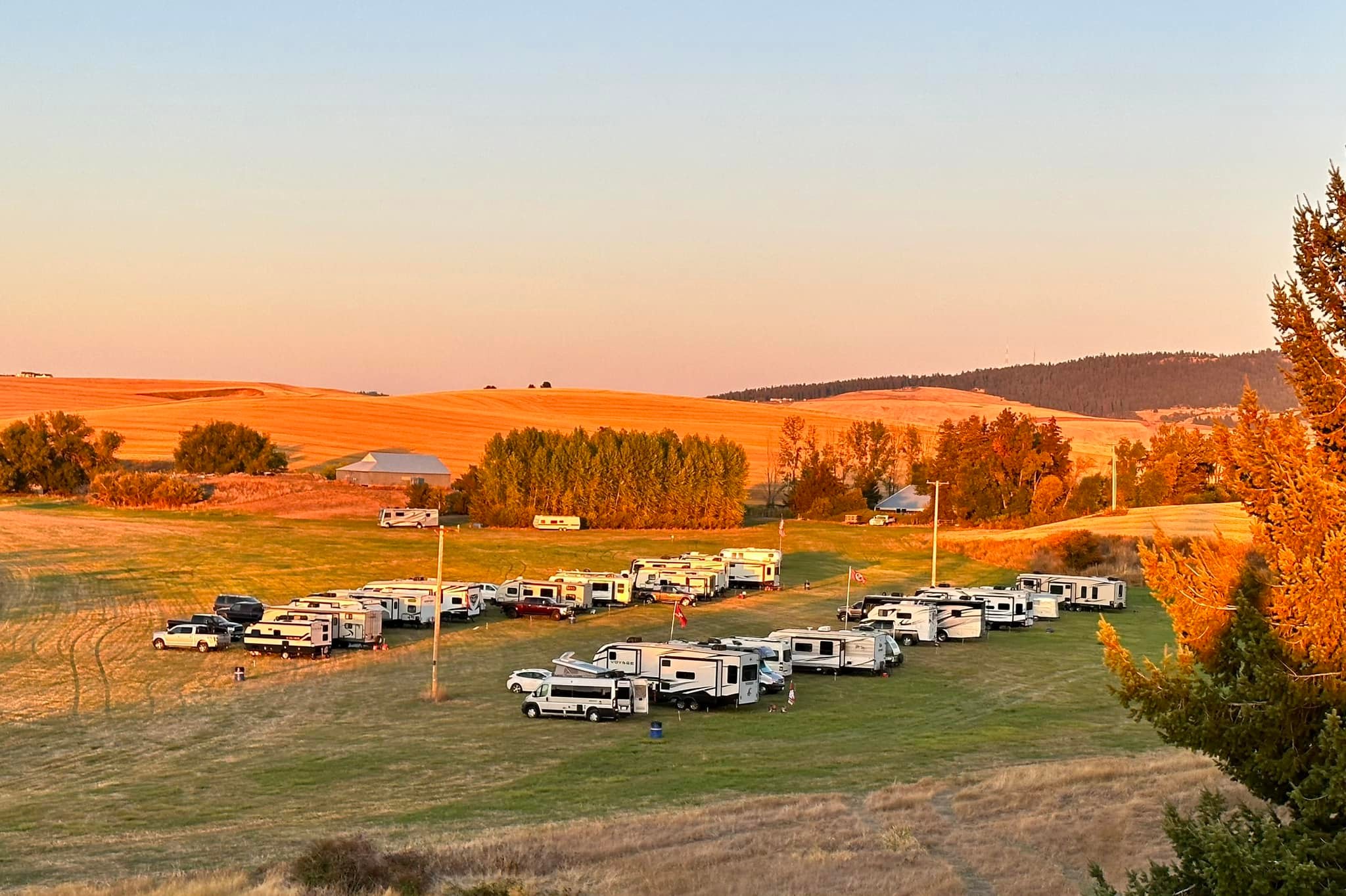 RV campers parked in a field.