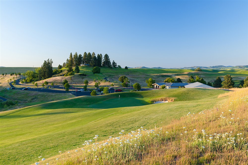 A green golf course.