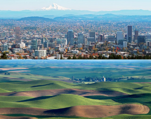 Top photo shows a large city with a snowcapped mountain in the background. The bottom picute shows rolling hills, with stripes of brown earth or green crops, with a town in the middle.