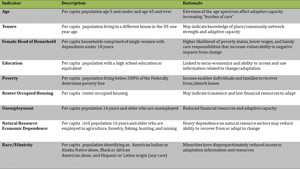 Table listing the selected indicators, with a description and the rationale for selection