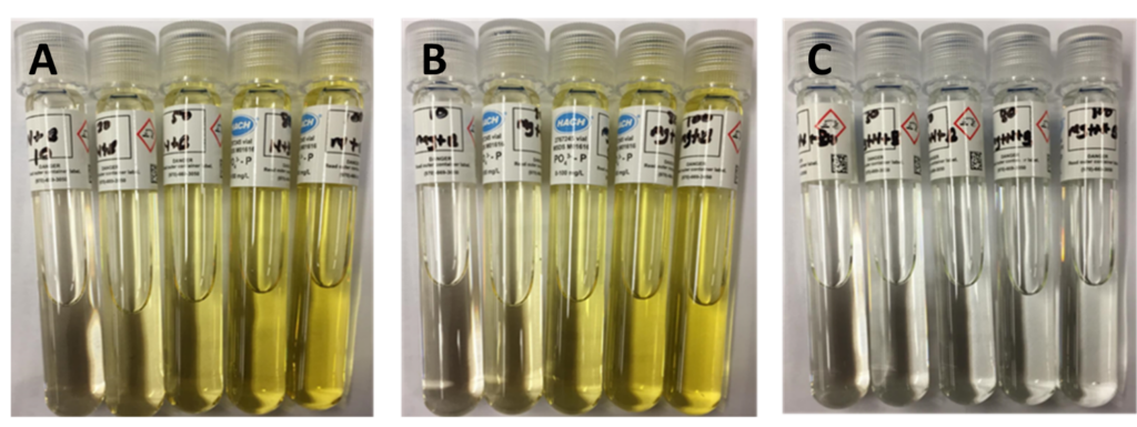 Three series of test tubes with liquid in them, ranging in color from transparent to pale yellow.