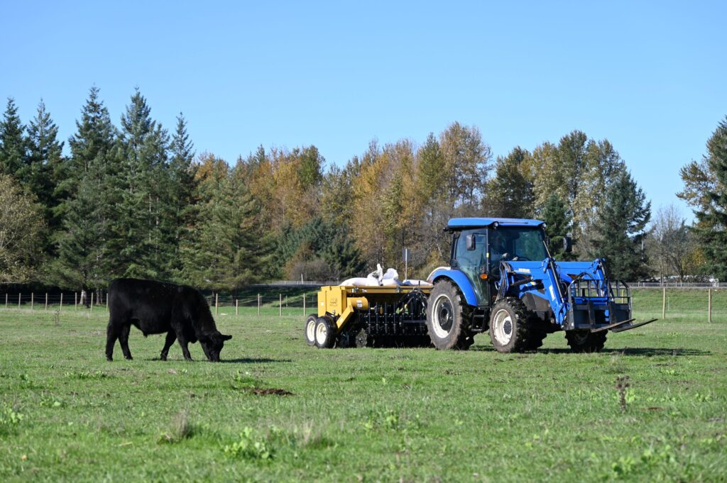 A tractor next to a cow in a pasture
