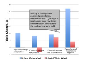 Percentage change in average Washington State yields of non-irrigated winter wheat and irrigated winter wheat between the historical (1977-2006) and future (2030s) time period. Effects are broken out to show impact of changes in precipitation, temperature, carbon dioxide, as well as all impacts combined. 